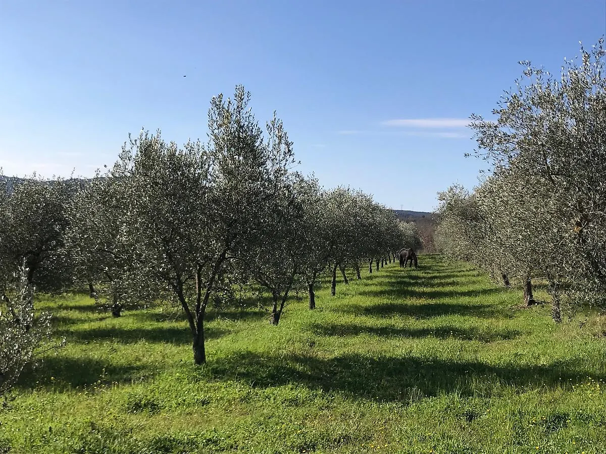 Alloggio per agriturismo Podere I Massoni Monterotondo