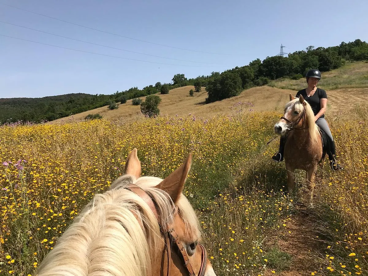 Alloggio per agriturismo Podere I Massoni Monterotondo  Italia
