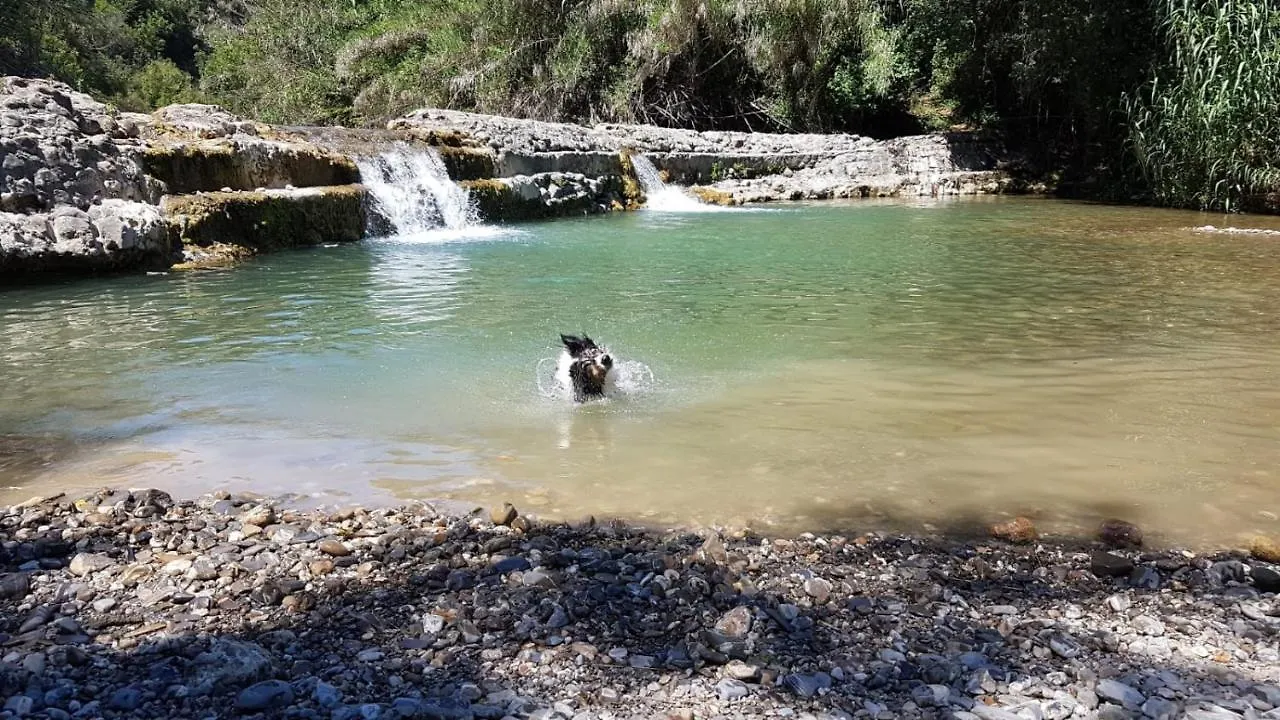 Alloggio per agriturismo Podere I Massoni Monterotondo  Italia